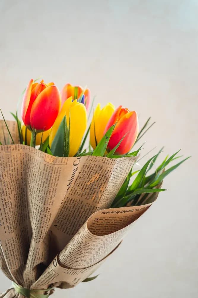Tulipani